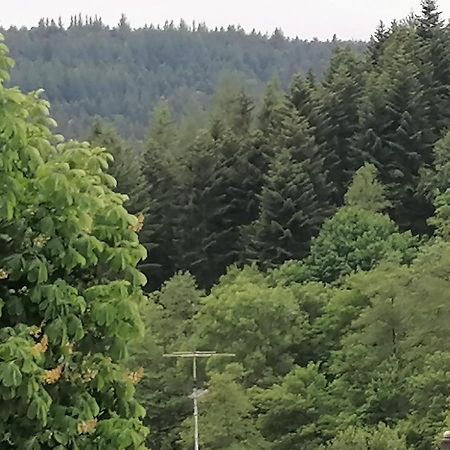 Ferienwohnung Istrefi Alpirsbach Bagian luar foto