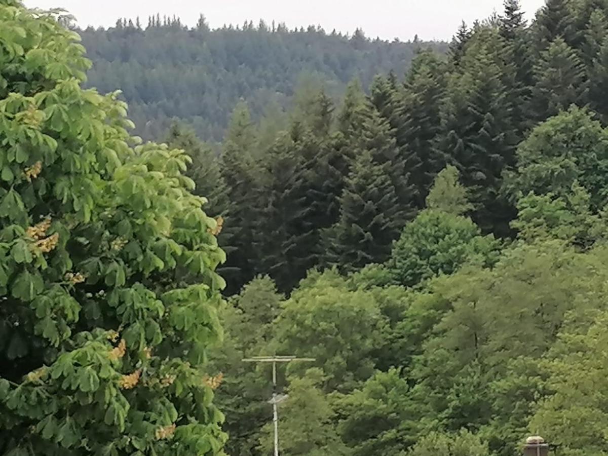 Ferienwohnung Istrefi Alpirsbach Bagian luar foto